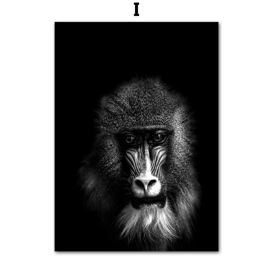 Frameless Animal Canvas Poster