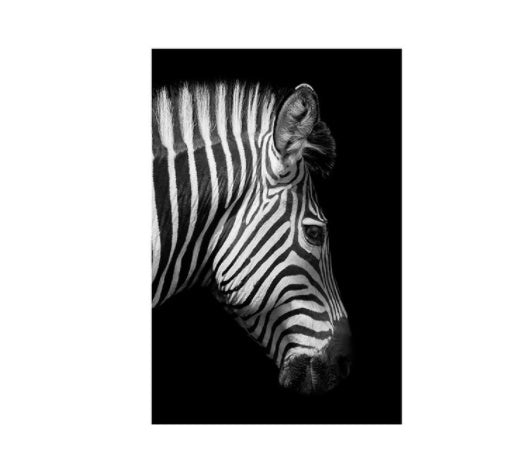 Black And White Zebra Wall Art Canvas Painting Wall Poster Living for Room Decor