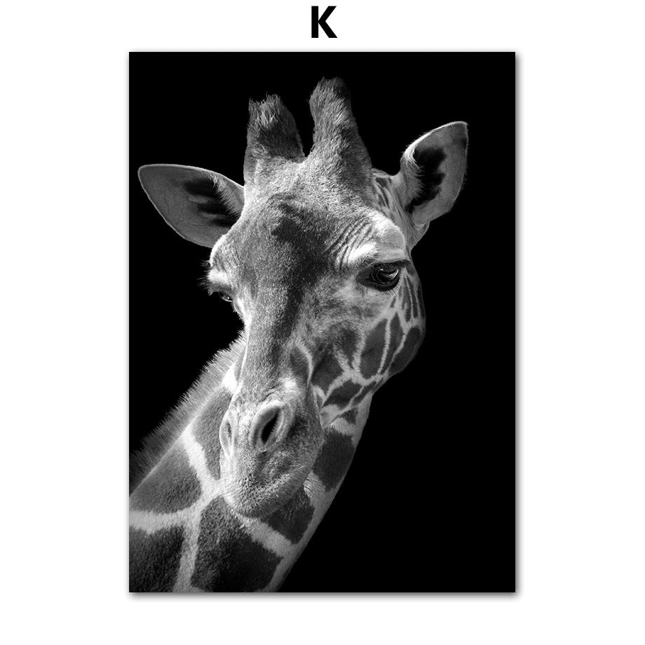 Frameless Animal Canvas Poster