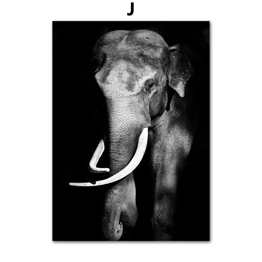 Frameless Animal Canvas Poster