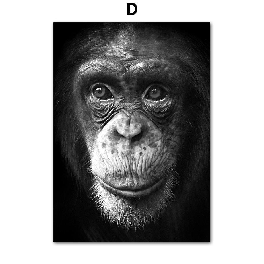 Frameless Animal Canvas Poster