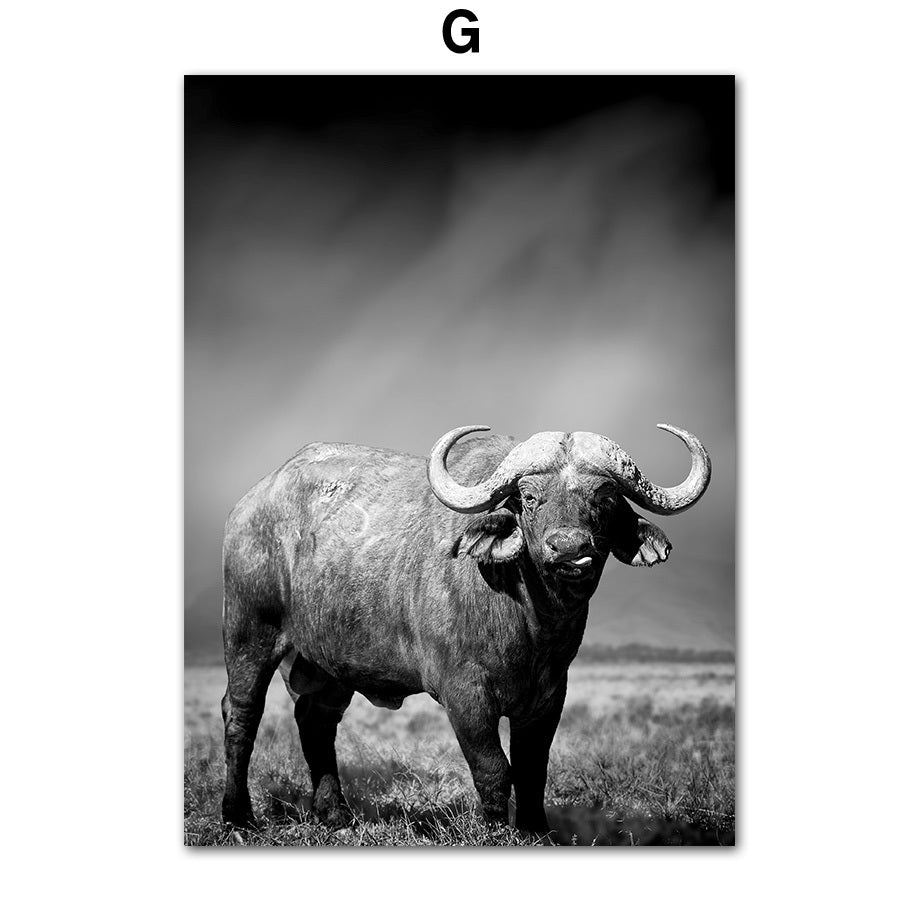 Frameless Animal Canvas Poster